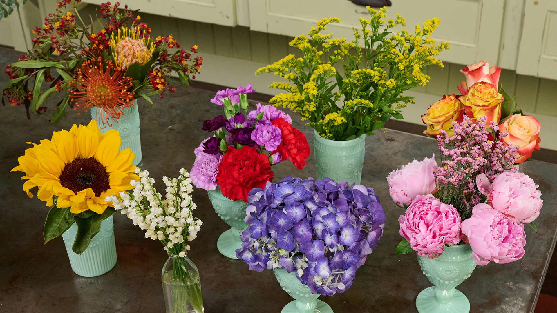 Download a zipped file of promotional materials in the Additional Assets section below.